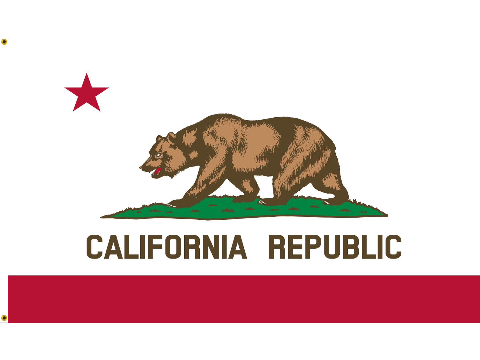 California Flag for Outdoor Use