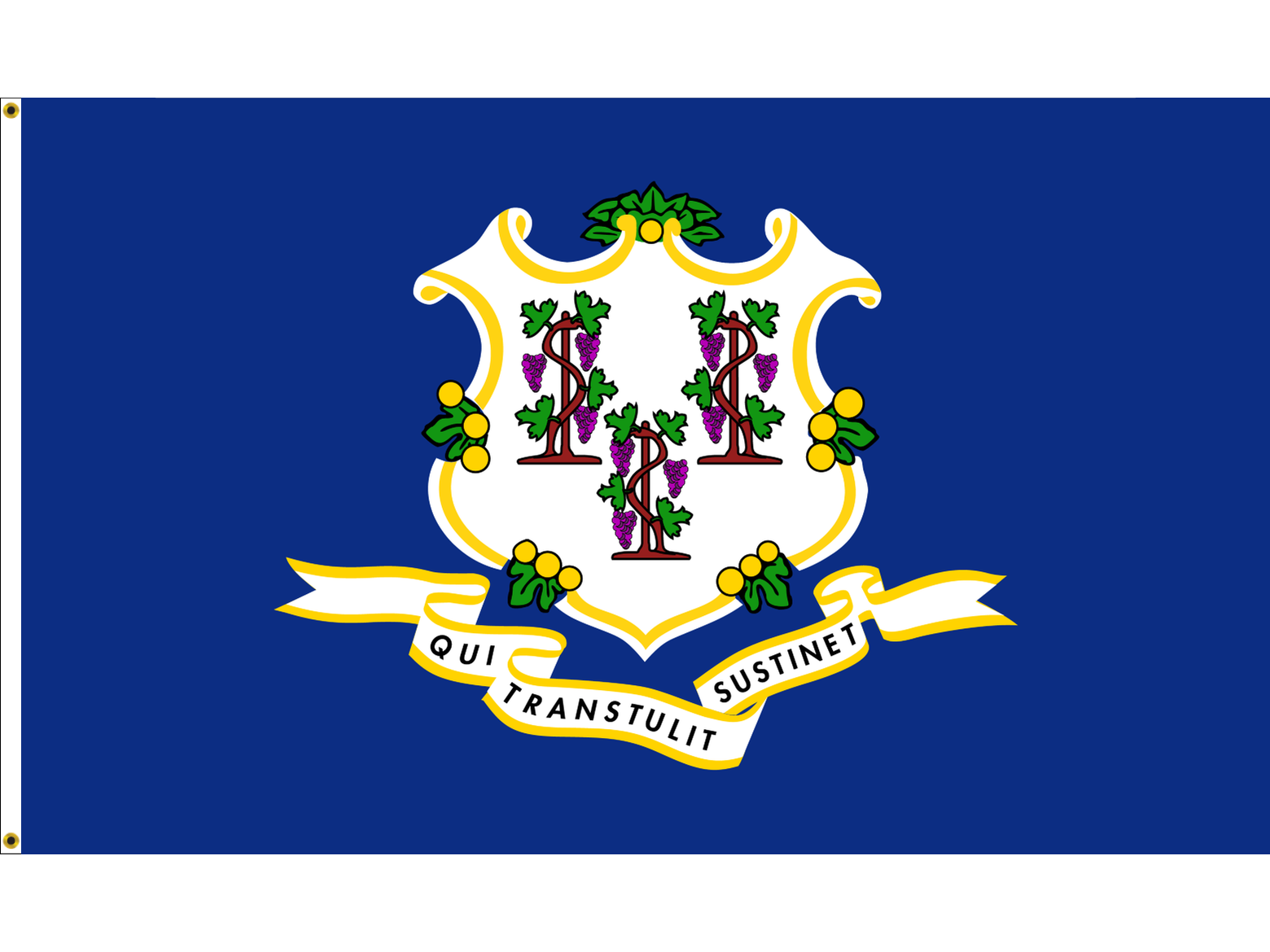 Connecticut Flag for Outdoor Use