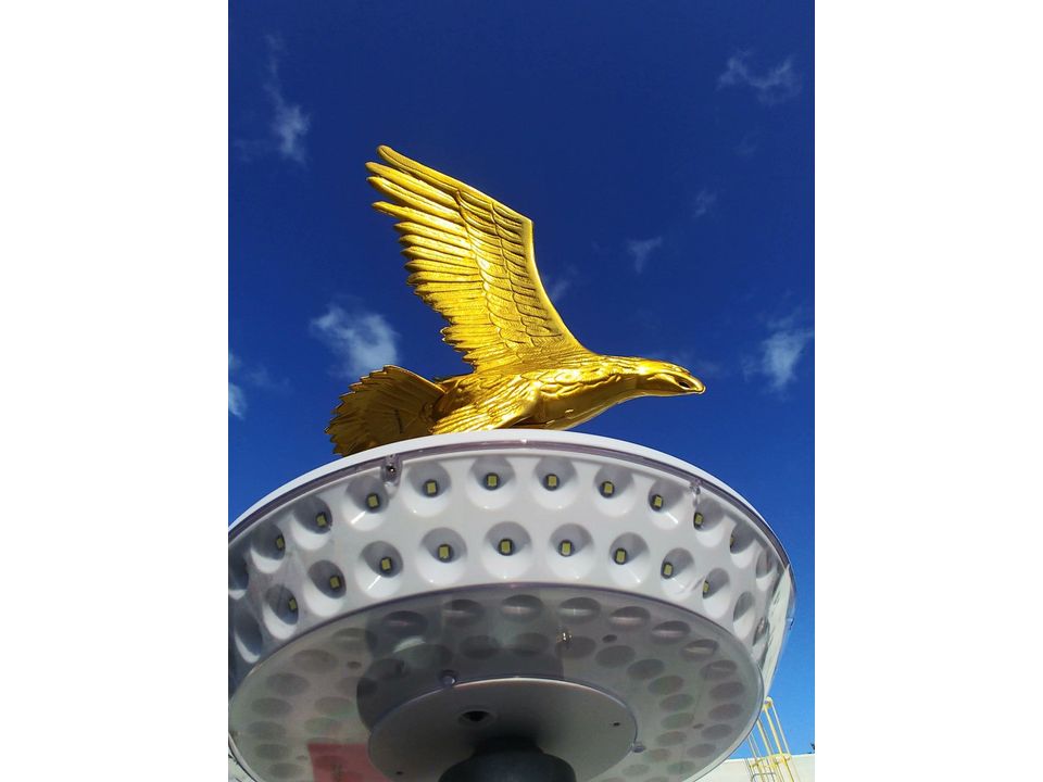 Solar LED Magnum Flagpole Downlight