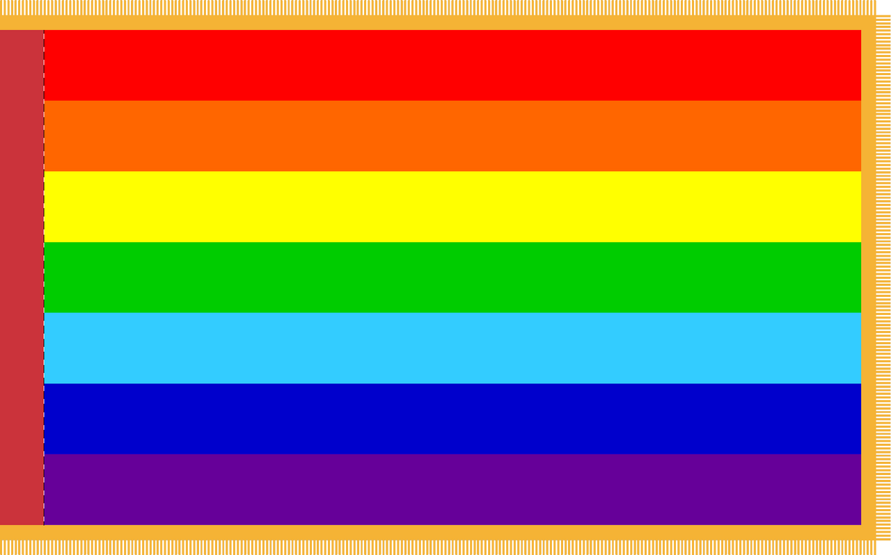 World CO-OP Flag for Indoor Use