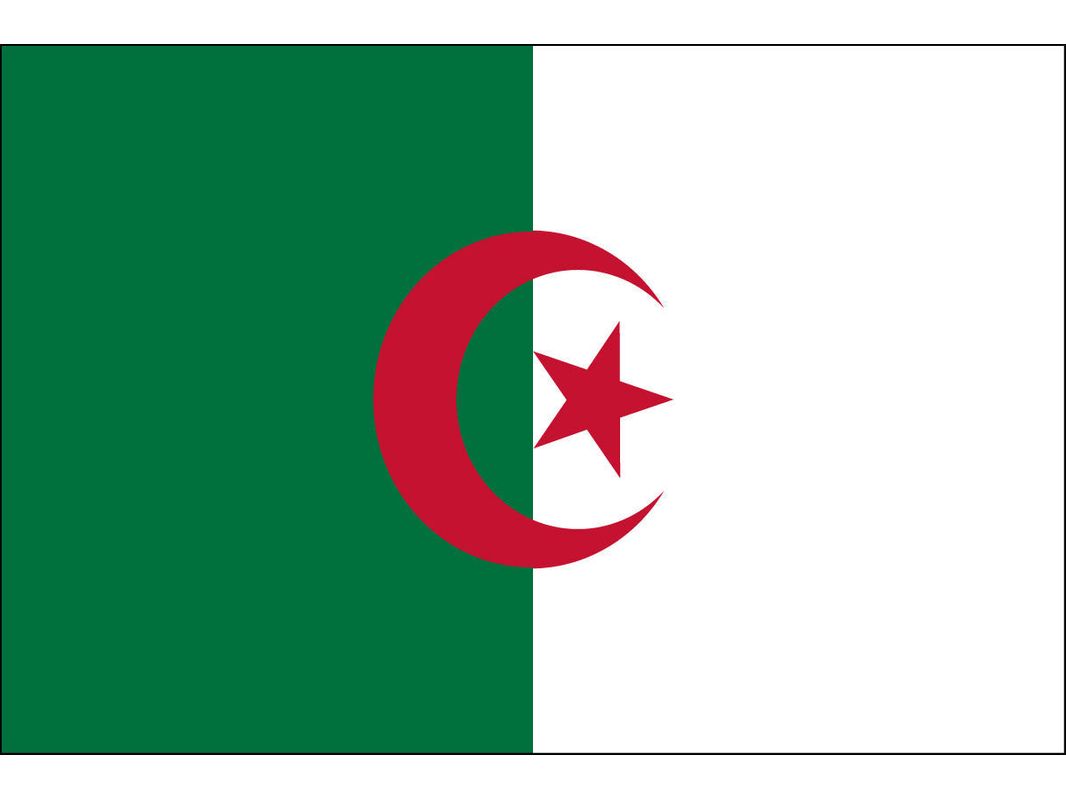 Algeria Flag for Outdoor Use