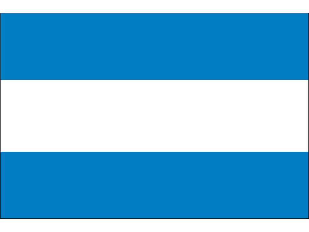 Argentina (No Seal) Flag for Outdoor Use