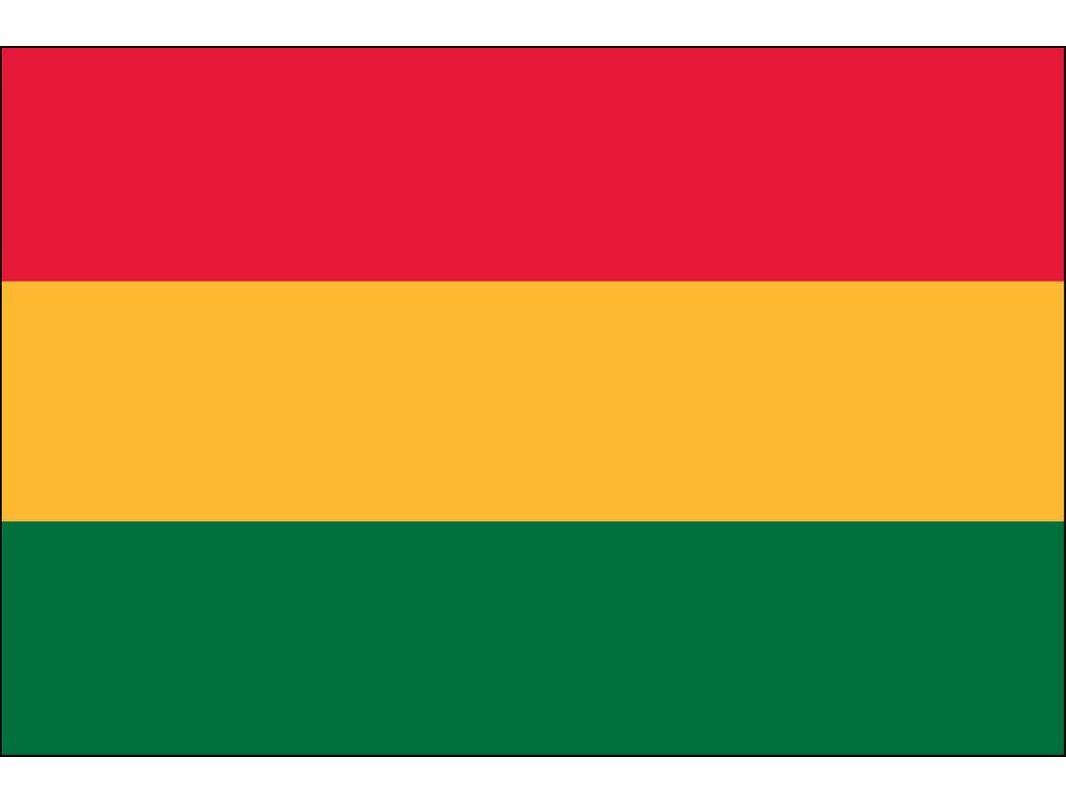 Bolivia (No Seal) Flag for Outdoor Use