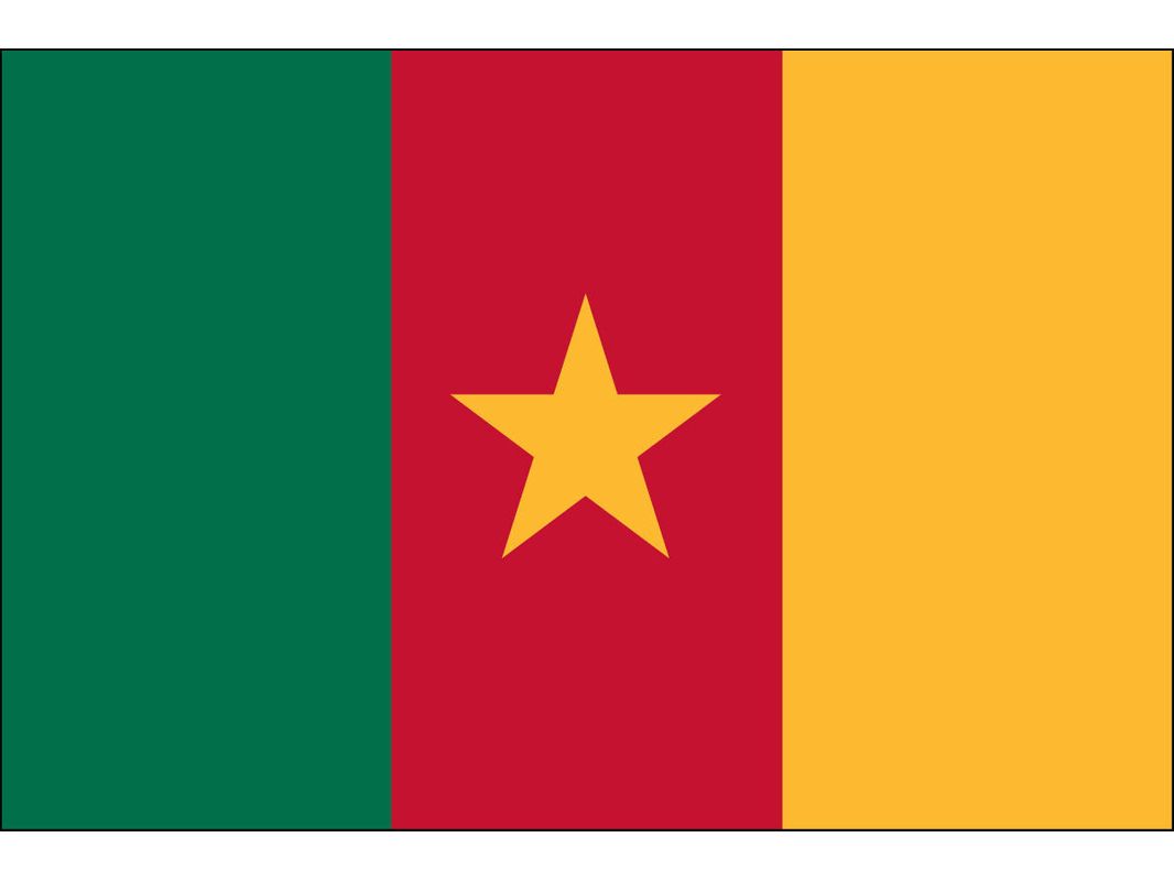 Cameroon Flag for Outdoor Use
