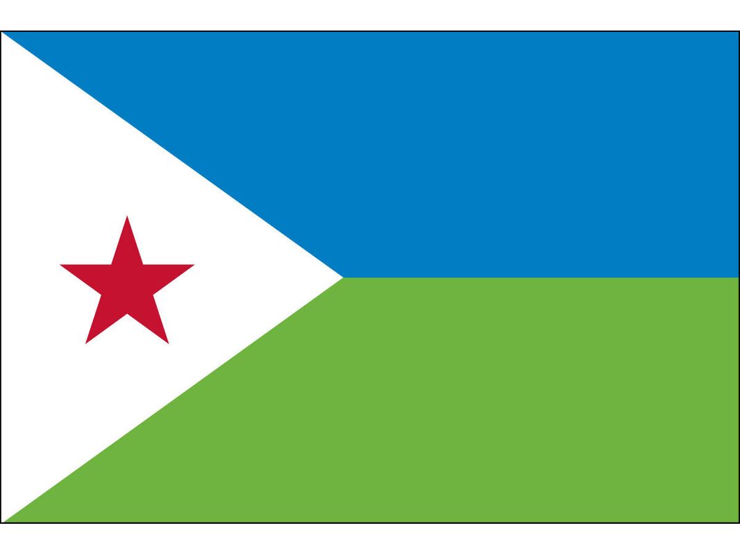 Djibouti Flag for Outdoor Use