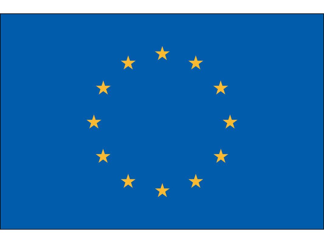 Europe Flag for Outdoor Use
