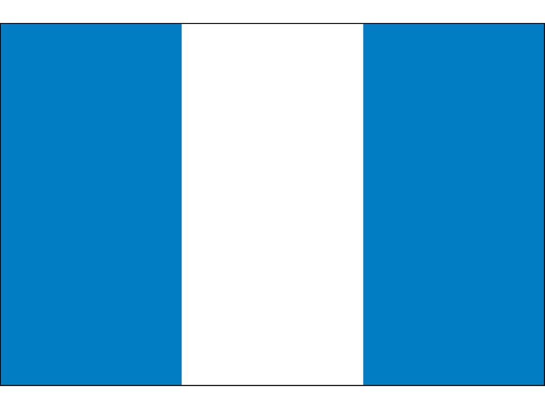 Guatemala (No Seal) Flag for Outdoor Use