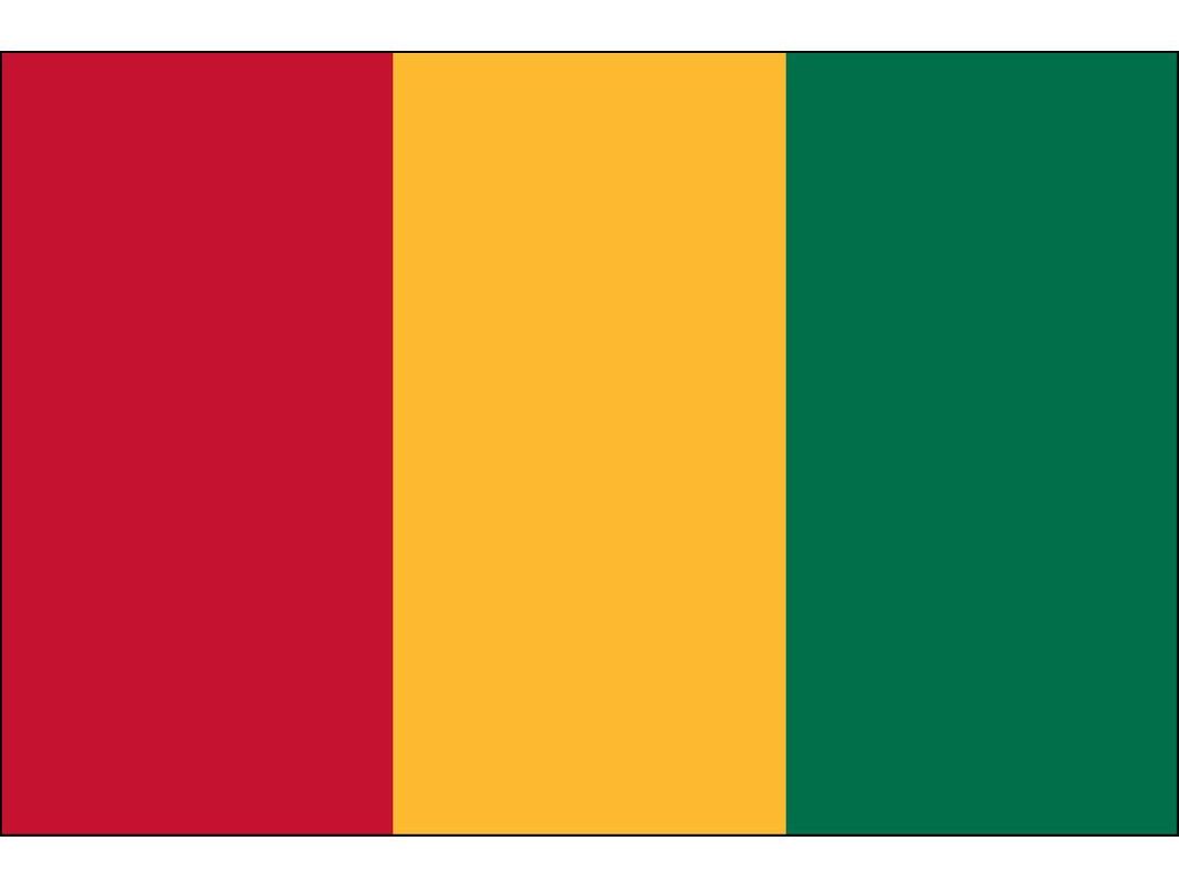 Guinea Flag for Outdoor Use