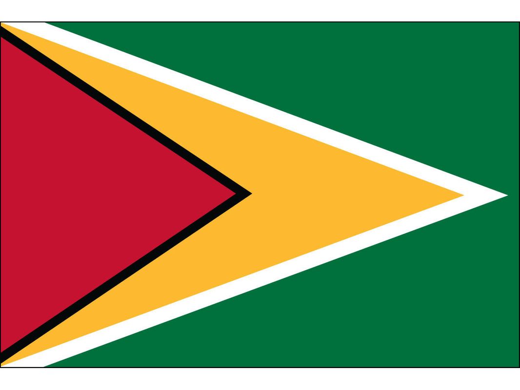 Guyana Flag for Outdoor Use
