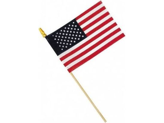 4"x6" American Stick Flag