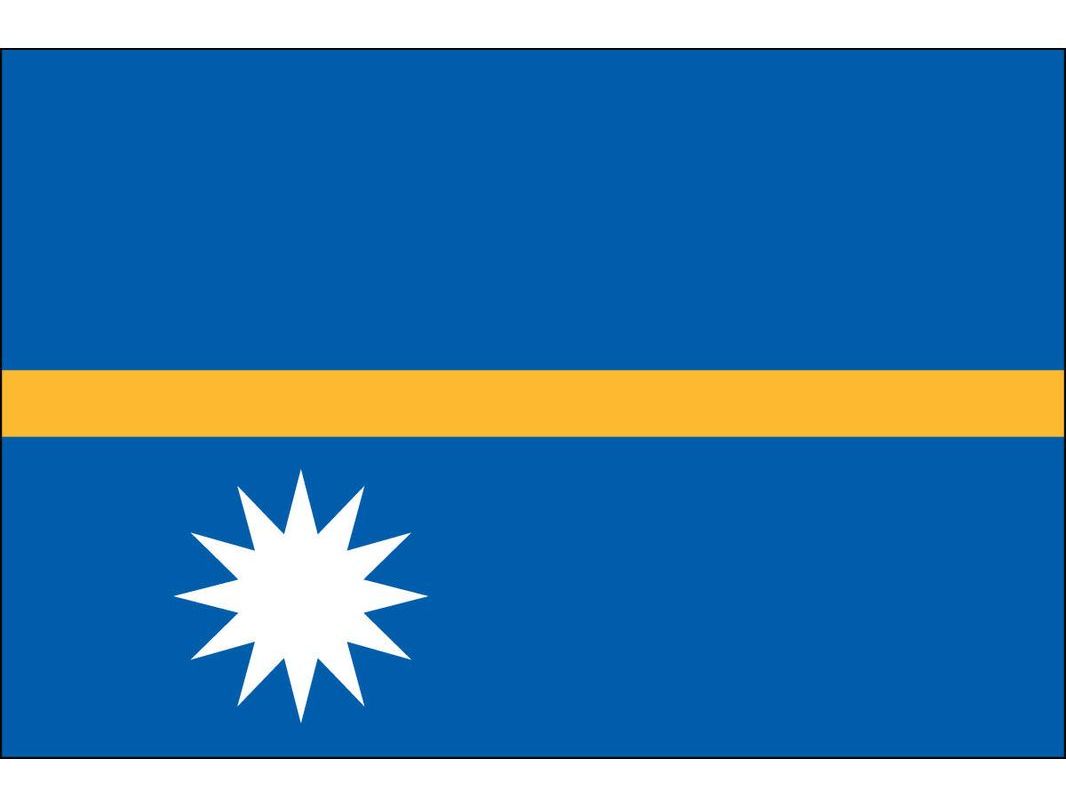 Nauru Flag for Outdoor Use