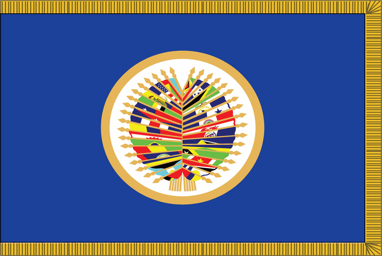 OAS Flag for Indoor Use