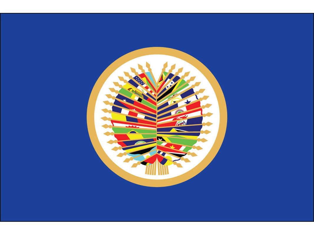 OAS Flag for Outdoor Use