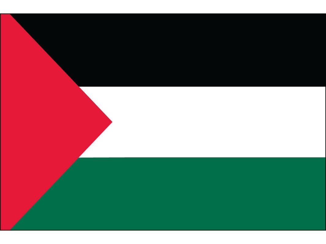 Palestine Flag for Outdoor Use