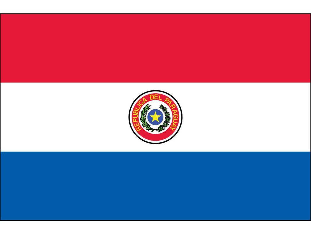 Paraguay Flag for Outdoor Use