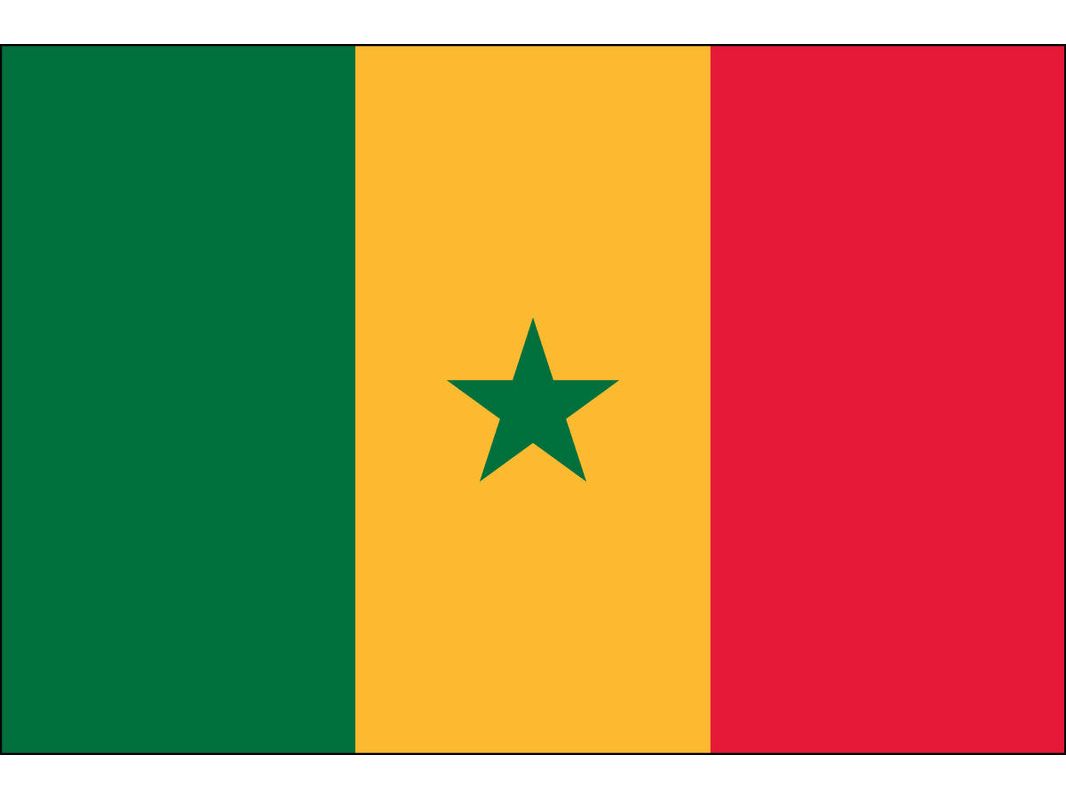 Senegal Flag for Outdoor Use