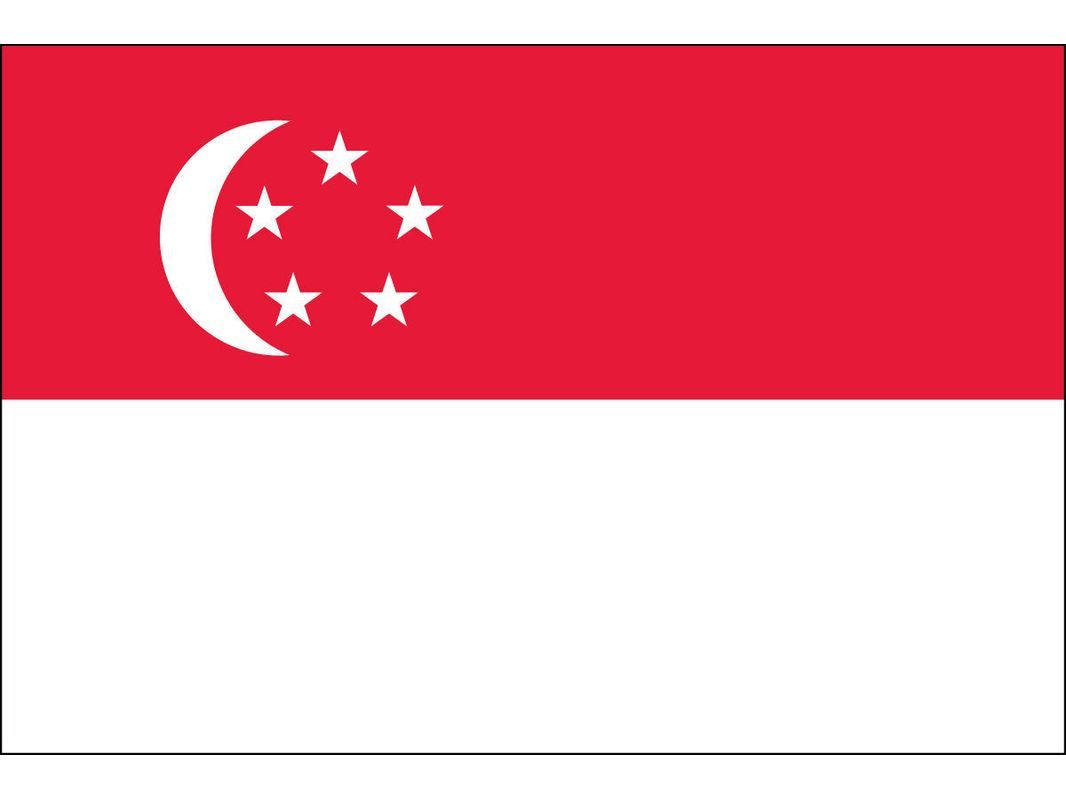 Singapore Flag for Outdoor Use
