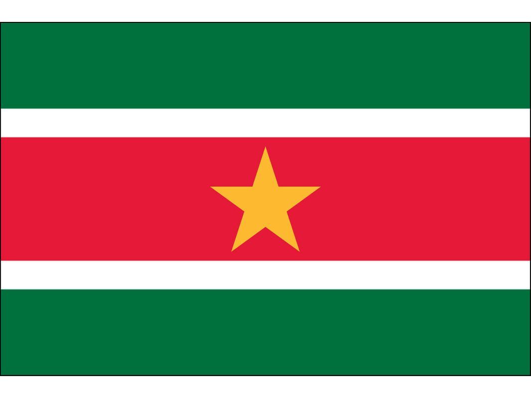 Suriname Flag for Outdoor Use
