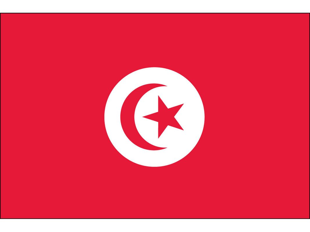 Tunisia Flag for Outdoor Use
