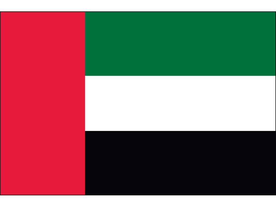 United Arab Emirates Flag for Outdoor Use