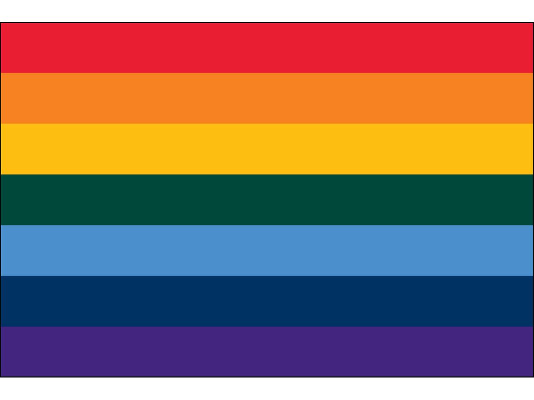 World CO-OP Flag for Outdoor Use
